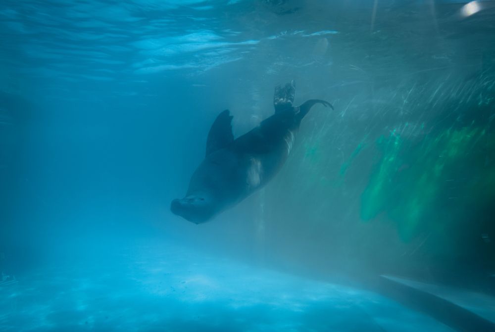 Photograph by Вера Кобченко