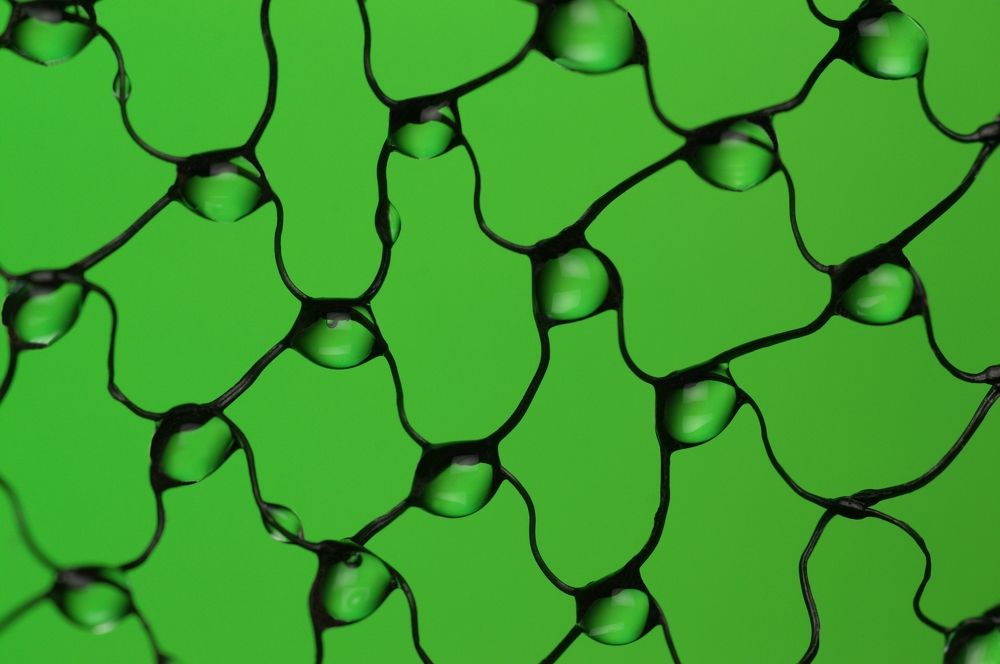 Капли на сетке