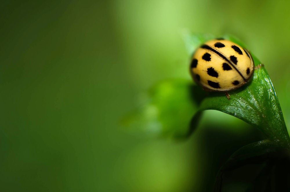 Photograph by Sahar Jafari