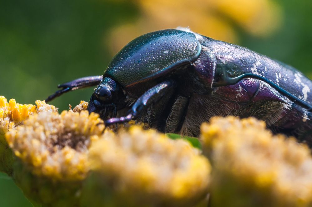 Photograph by Евгений Леонтьев