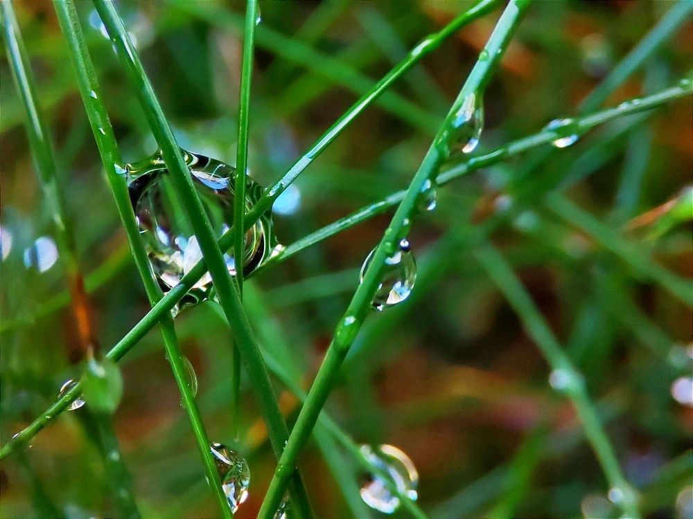 Photograph by Юлия Гинтер