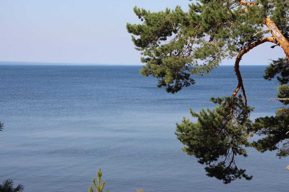 Photograph by Валентина