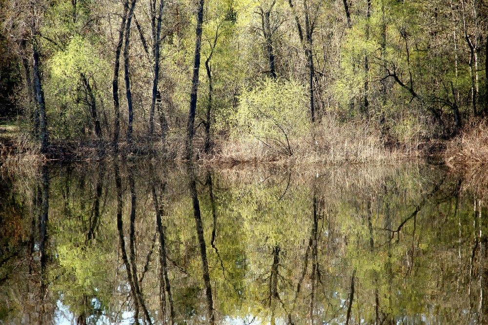 Photograph by Валентина