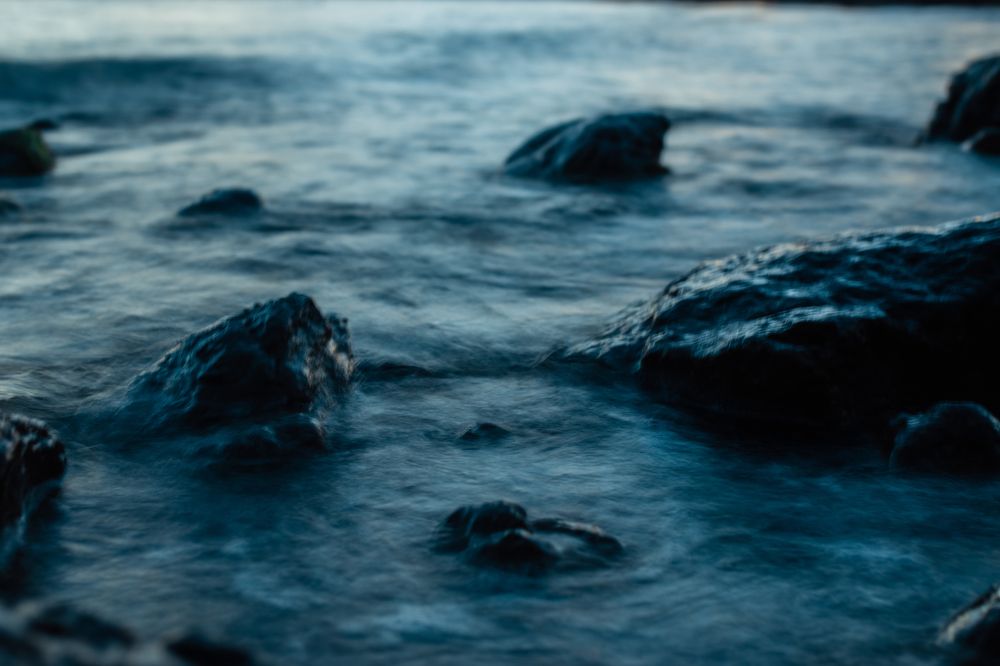 Photograph by Анна Лисина