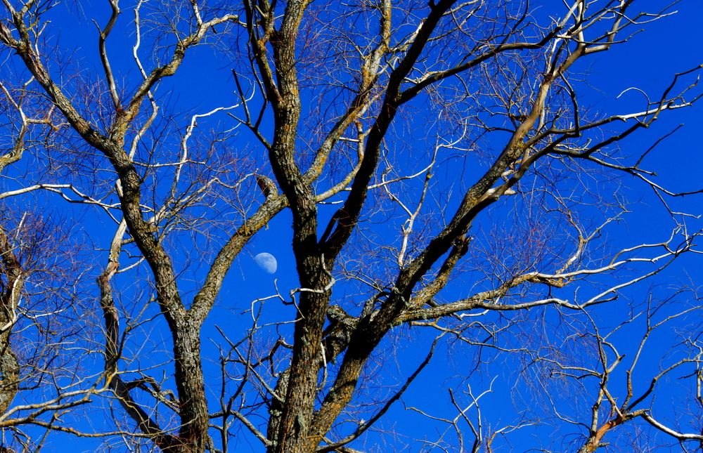 Фотография автора Сергей Барановский
