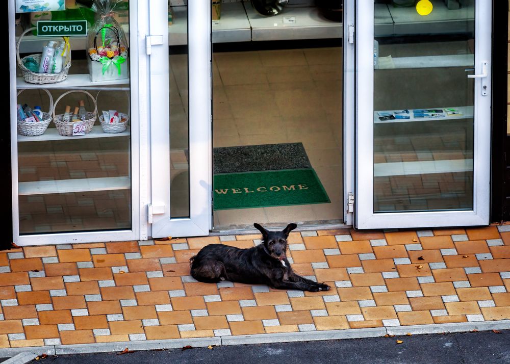 Photograph by Владимир Кваша