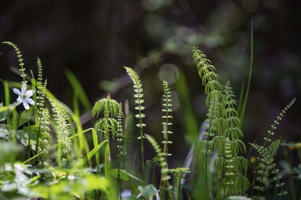 Photograph by Наталья Катюжанская