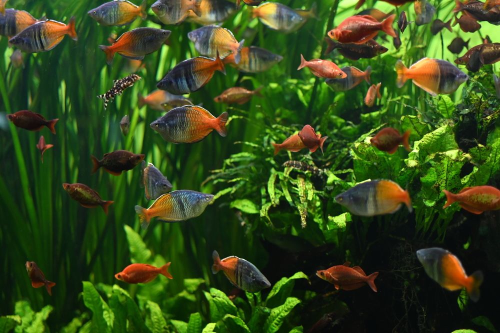 Photograph by Павел Стаценко