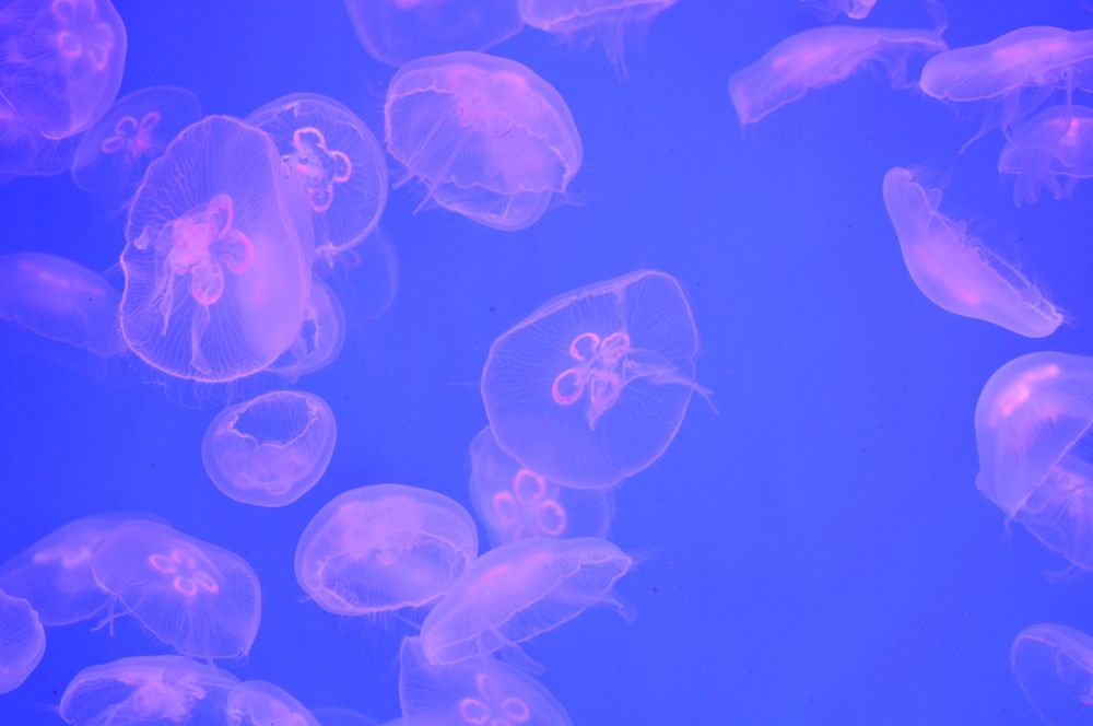 Photograph by Павел Стаценко