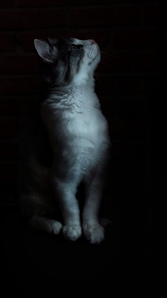 Photograph by Анна Будигай