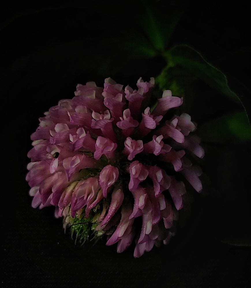 Photograph by Анна Будигай