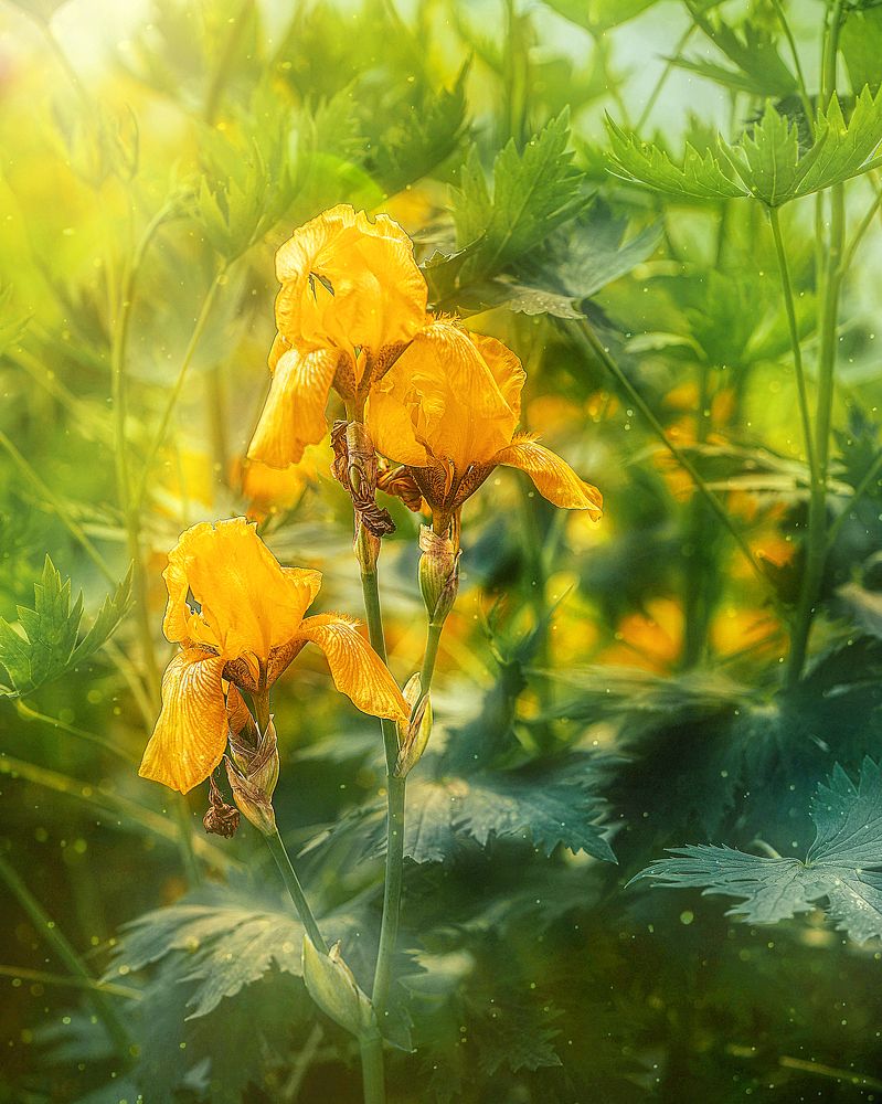 Photograph by Людмила ЧЕРНИКОВА