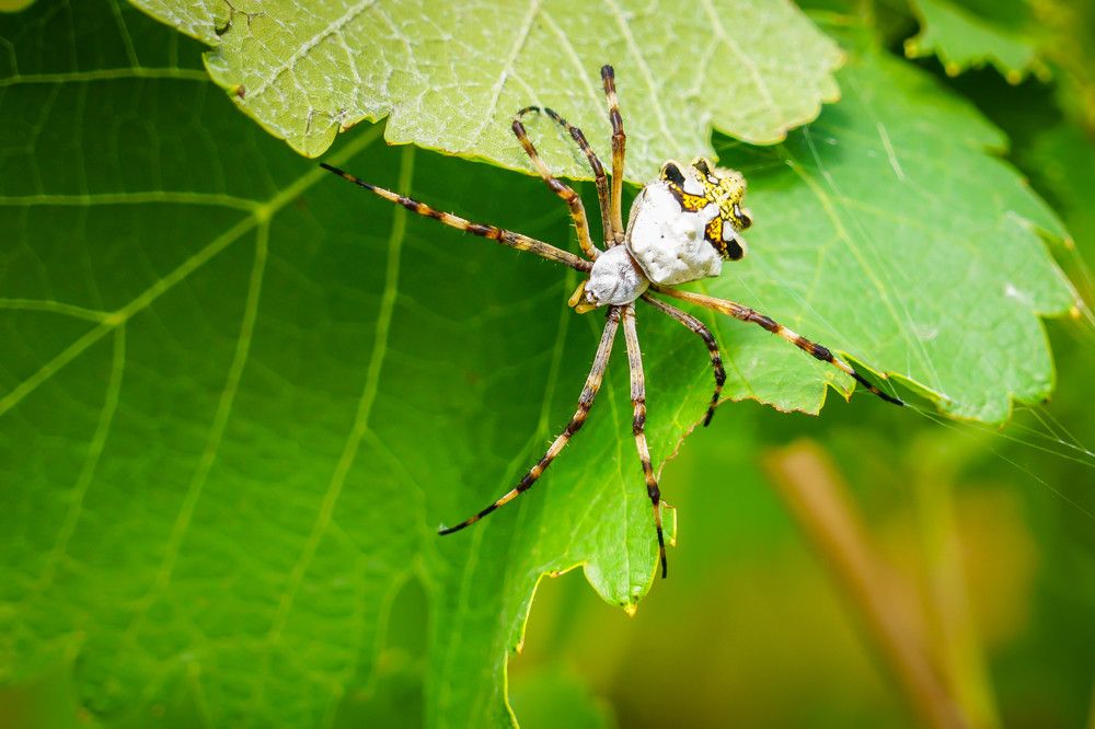 Photograph by Karina Elena Bergagna