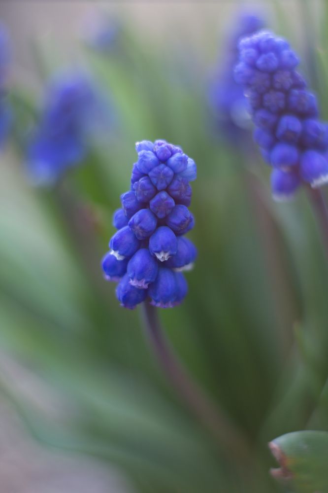 Photograph by Богдан Тарасов