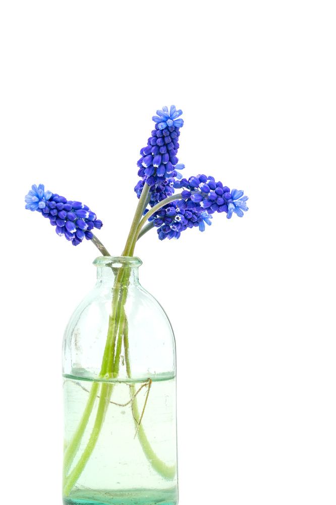 Photograph by Богдан Тарасов