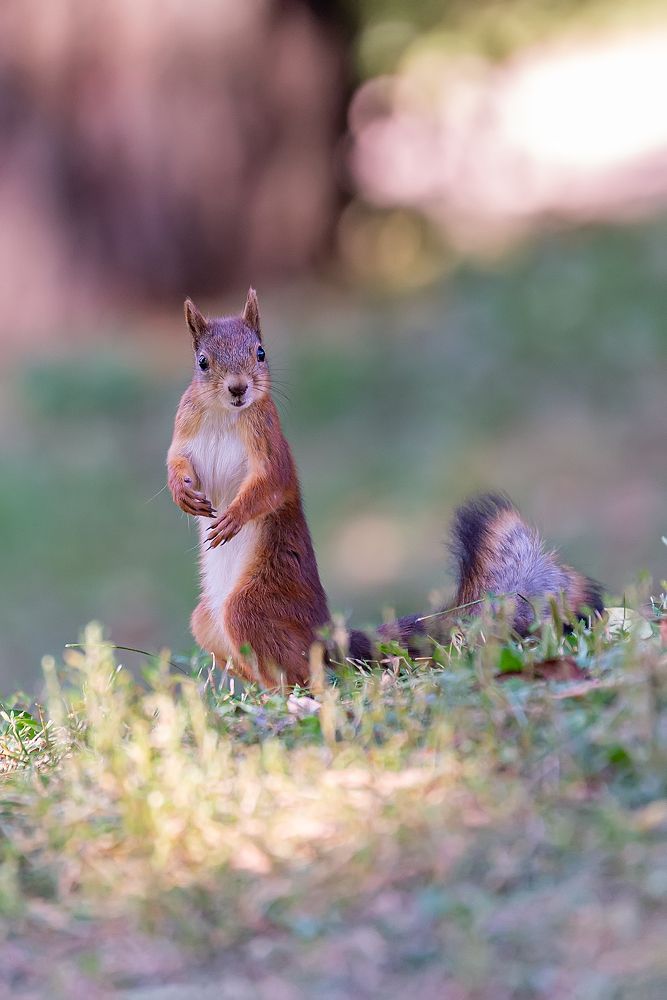 Photograph by Андрей