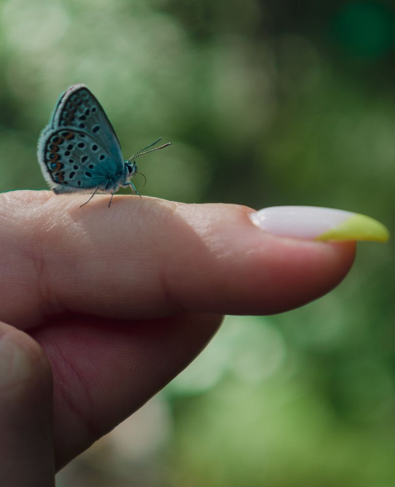 Фотография автора Геннадий Ломеко