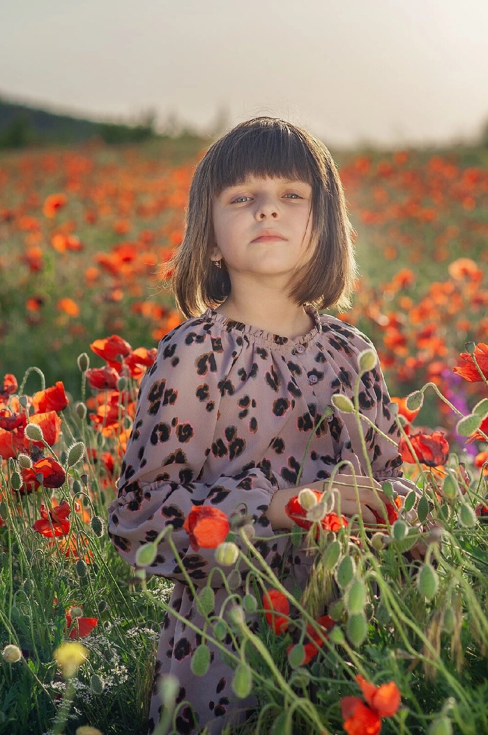 Photo #8024753