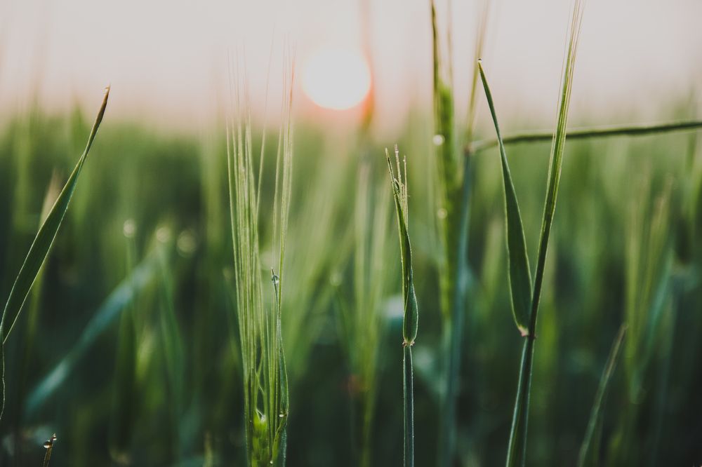 Photograph by Игорь Evdoseev