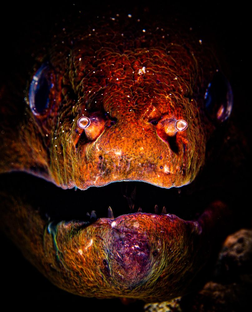 Photograph by Alexander Plakida