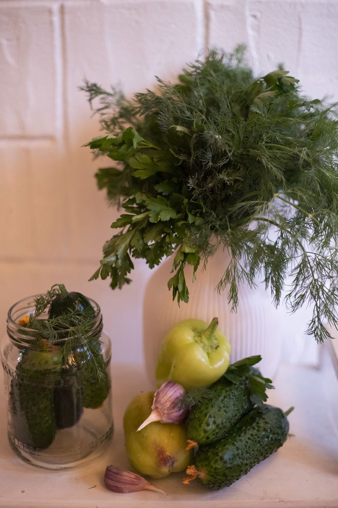 Photograph by Анастасия Рабочева