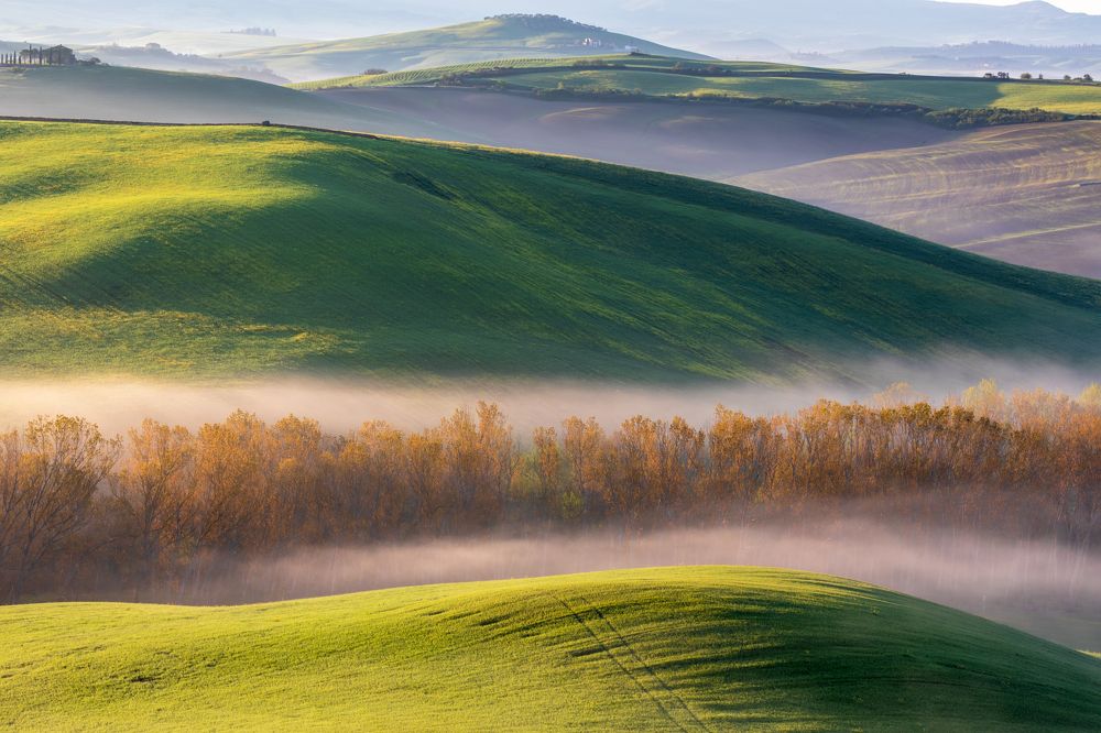 Photograph by Евгения Чех