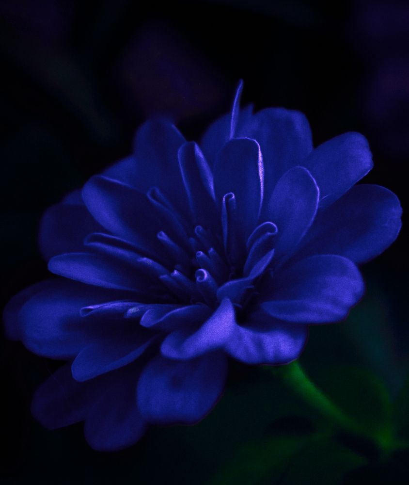 Photograph by Нина Сучкова