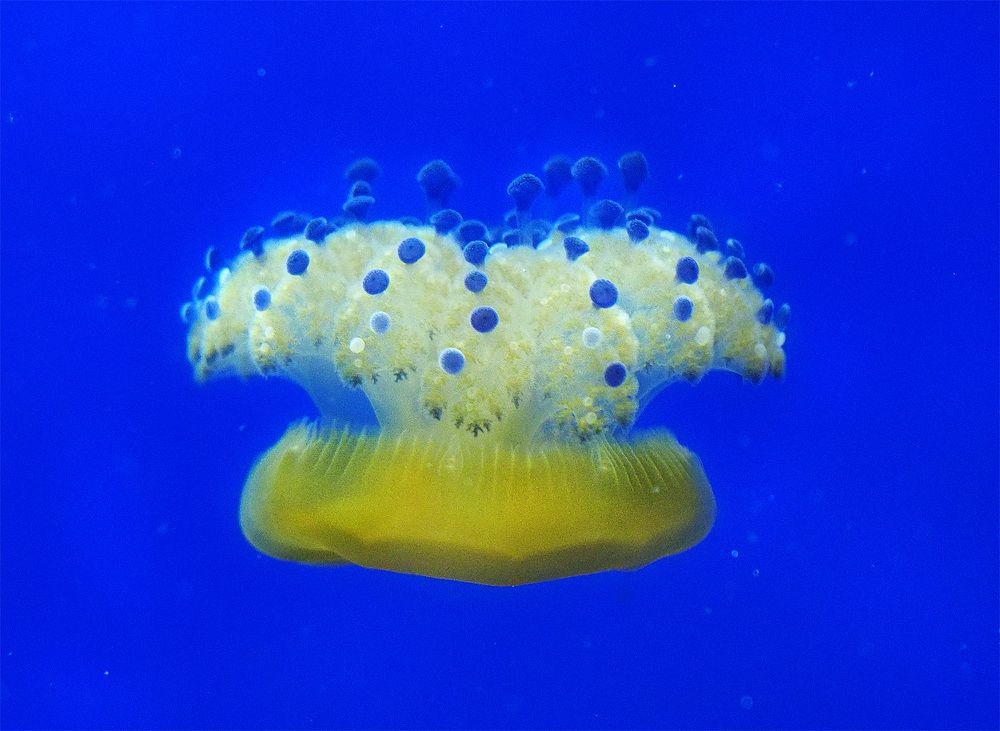 Photograph by Елена Харитонова