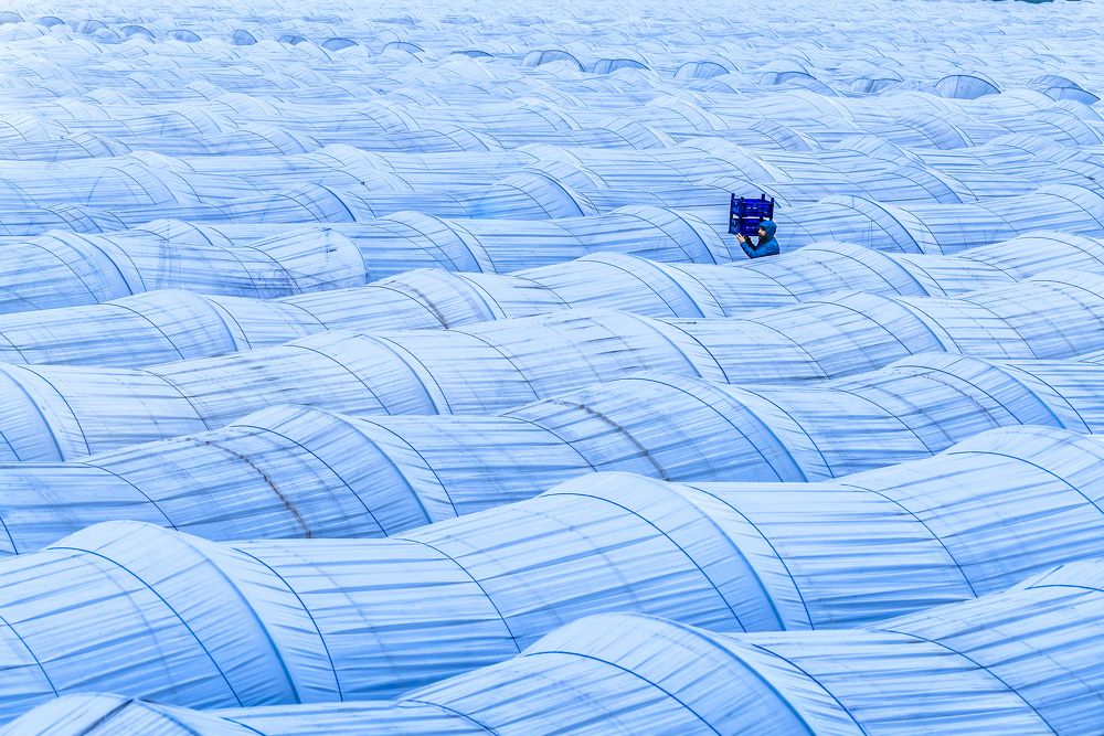 Фотография автора Fikriye Er