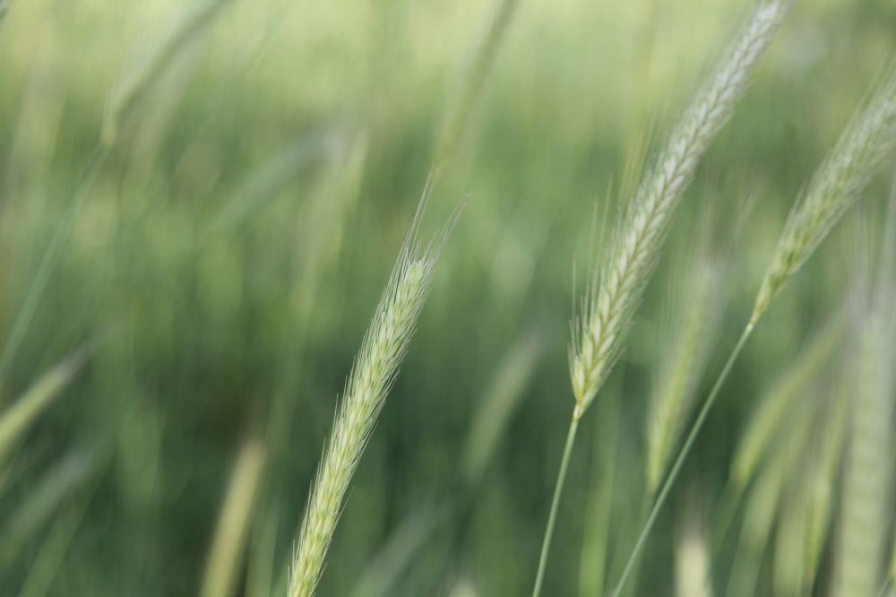 Photograph by a mirzaee.j