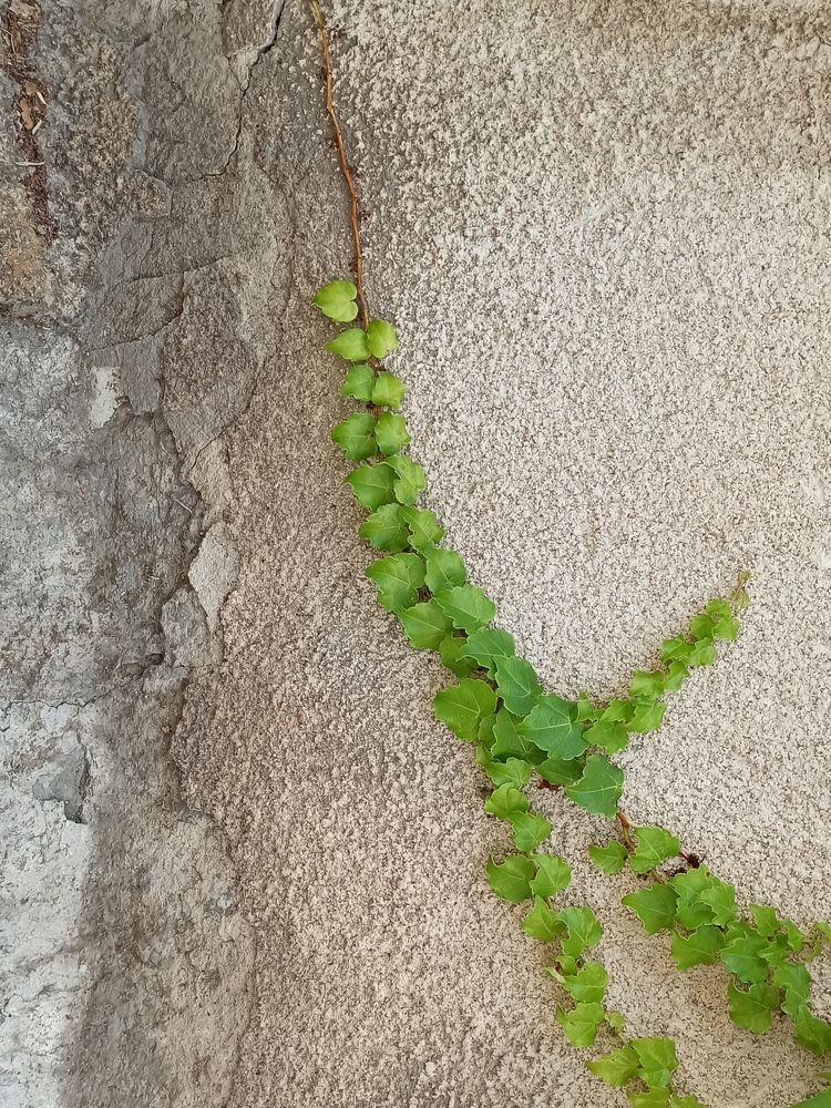 Photograph by a mirzaee.j