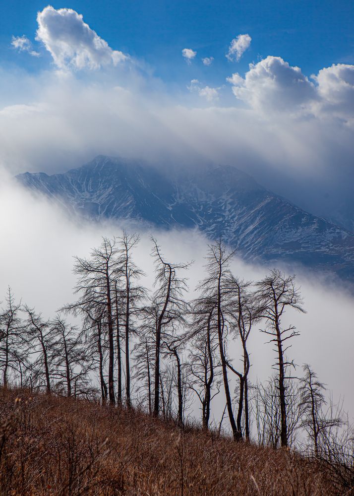 Photograph by Artur Akopyan