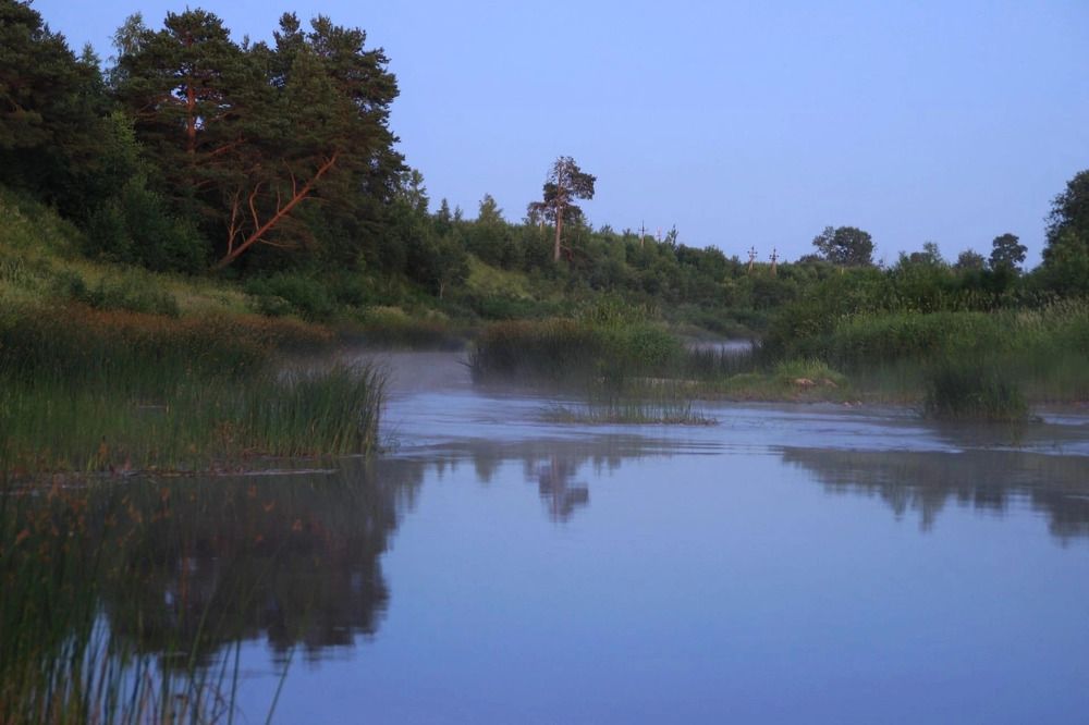 Фотография автора светлана терехова