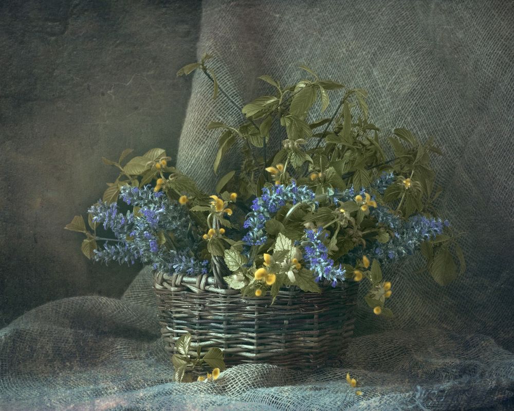 Photograph by Людмила Железнова