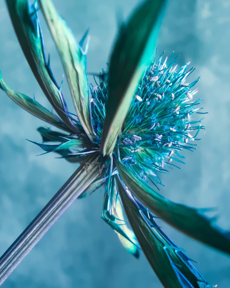 Photograph by Максим Зенкевич