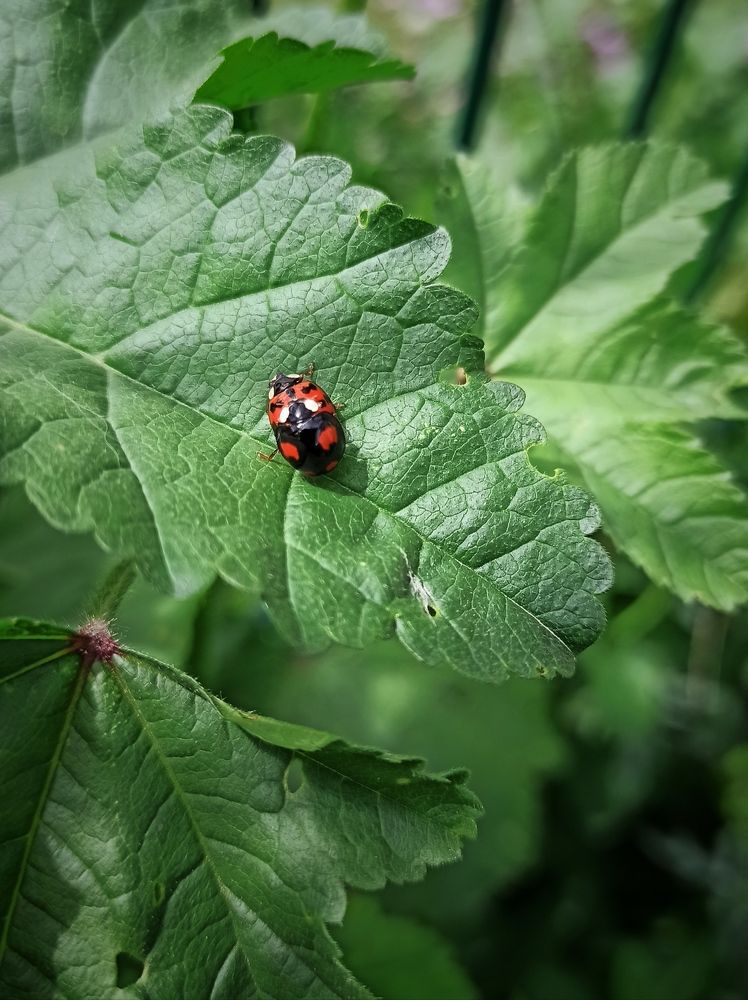 Photograph by Анна Валерьевна