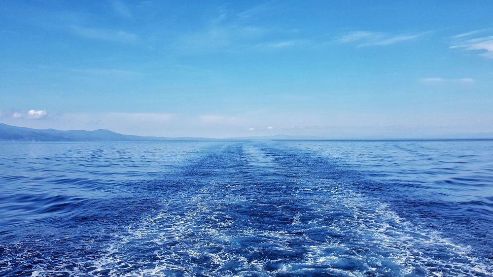 Фотография автора Дана Богинская