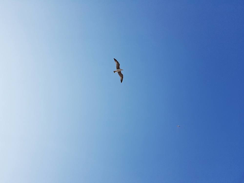 Фотография автора Дана Богинская