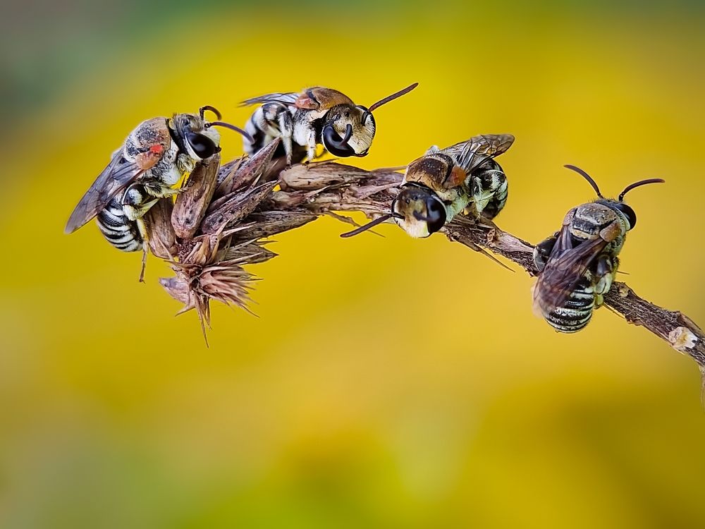 Photograph by Arghya Mondal