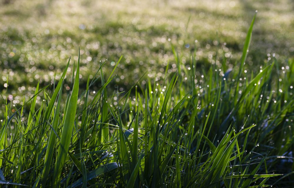 Photograph by Farkhad