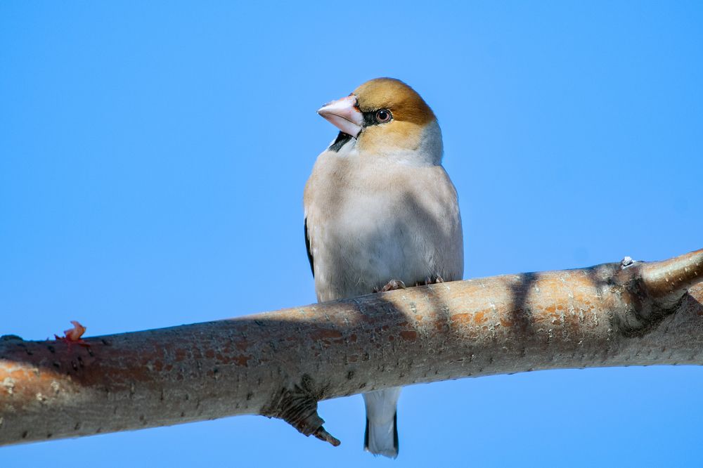 Photograph by Александр Перегудов