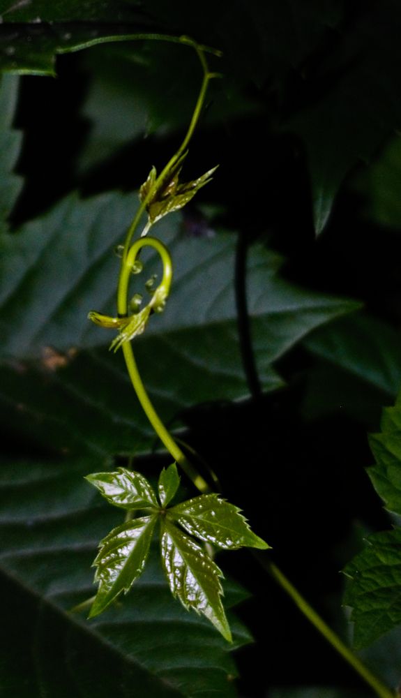 Photograph by Елена Швецова