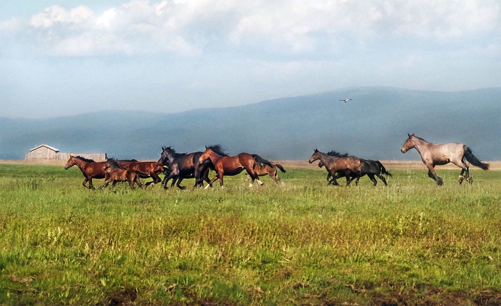 Photograph by Елена Харитонова