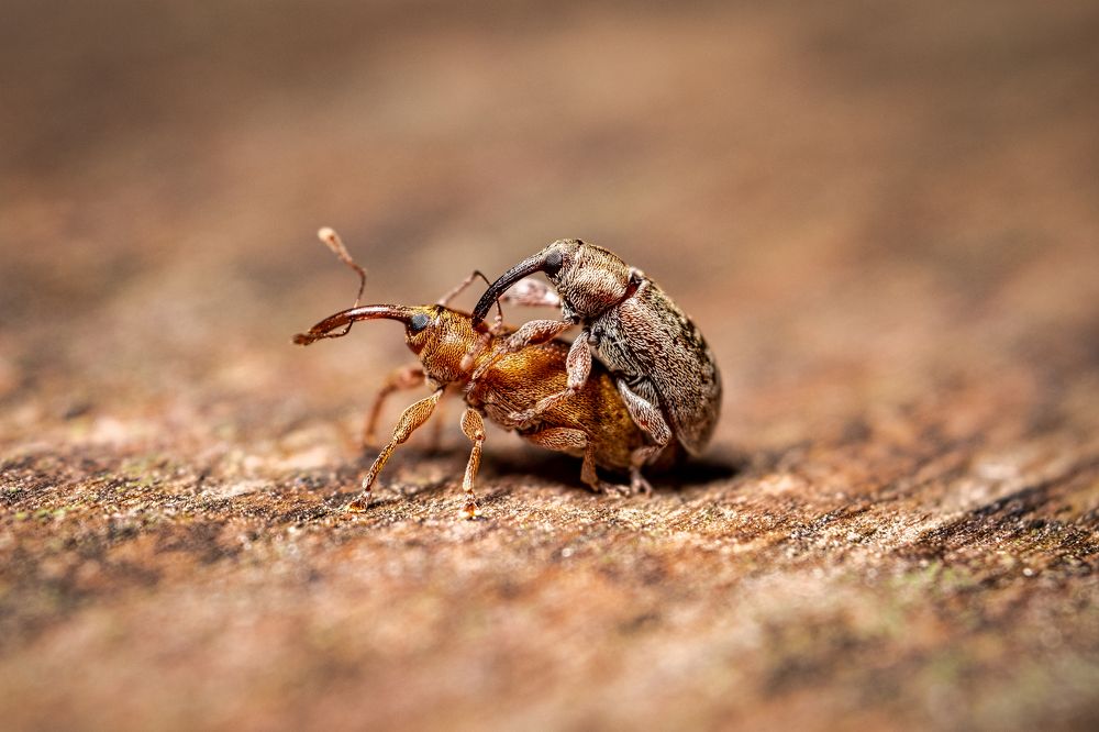 "Новая жизнь".