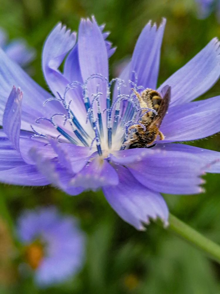 Photograph by Елена Швецова