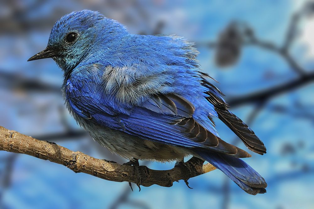 Photograph by daniel peterburg