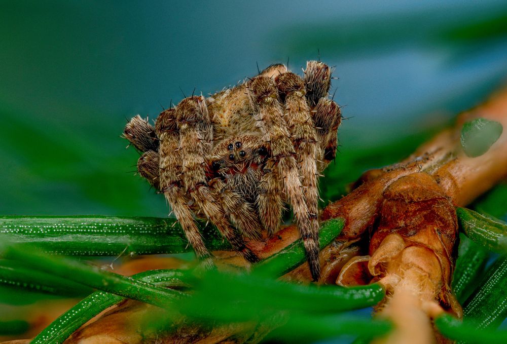 Photograph by Овечкин Павел