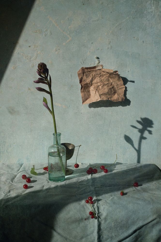 Photograph by Мария Сапего