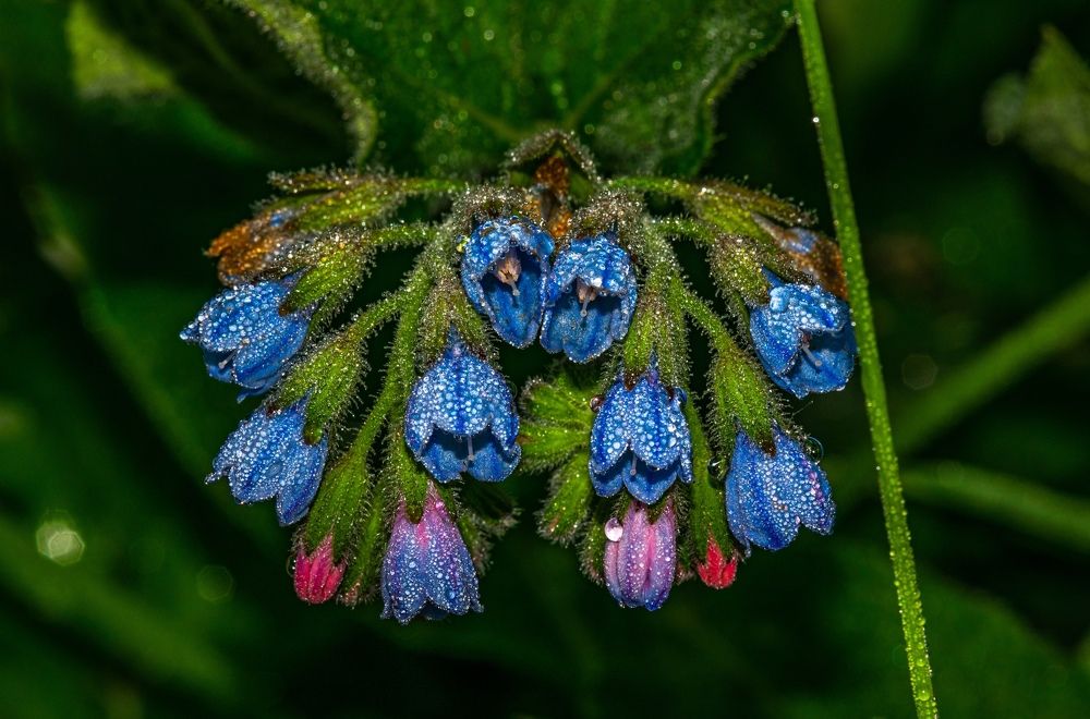 Photograph by Овечкин Павел