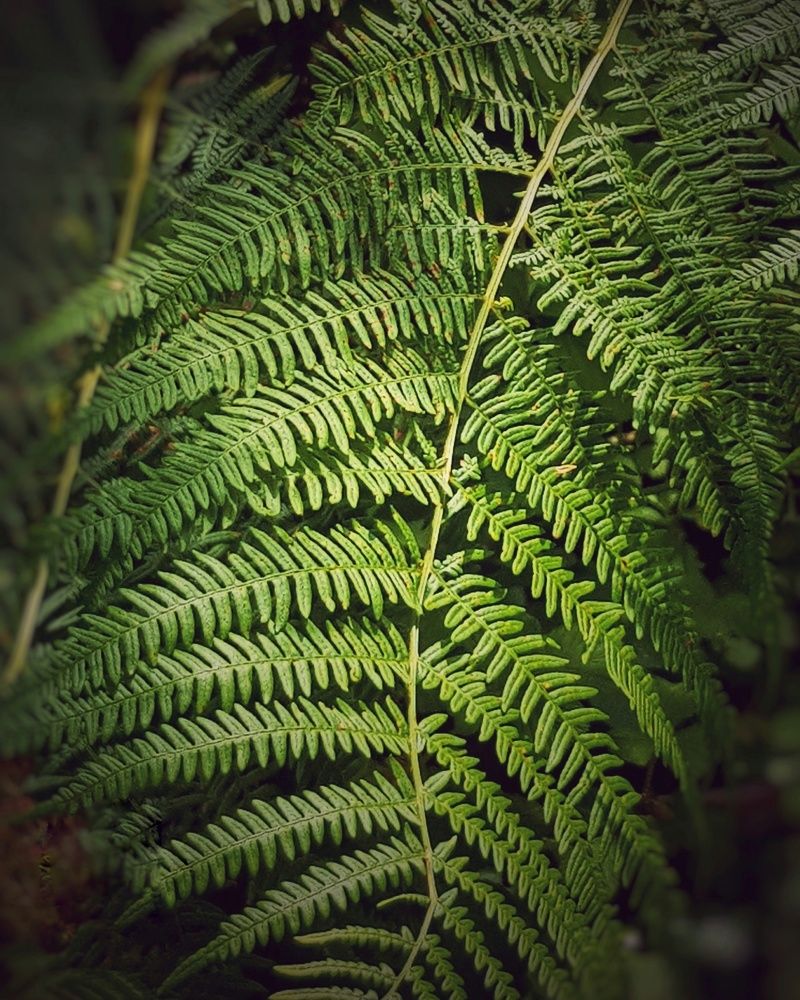 Photograph by Ольга